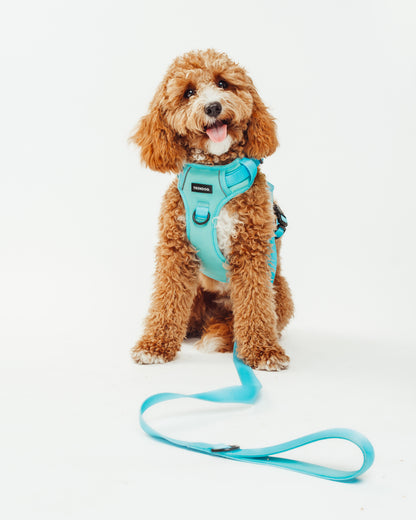 Arctic Breeze Dog Lead | Durable and Trendy