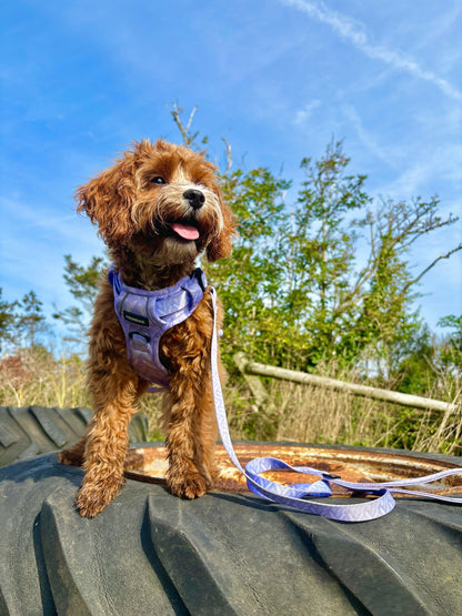 Birds of a Feather Dog Lead | Durable and Trendy