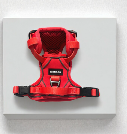 Firestorm Adjustable Dog Harness | Stylish and Safe